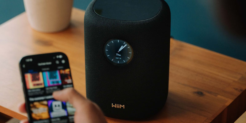 Wiim Smart Speaker
